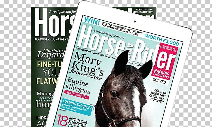 Horse Advertising Brand Magazine Font PNG, Clipart, Advertising, Brand, Horse, Horse Like Mammal, Horse Rider Free PNG Download