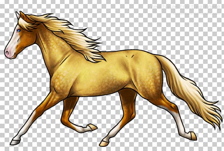 Mane Mustang Foal Stallion Colt PNG, Clipart, Bridle, Carnivora, Carnivoran, Colt, Fauna Free PNG Download