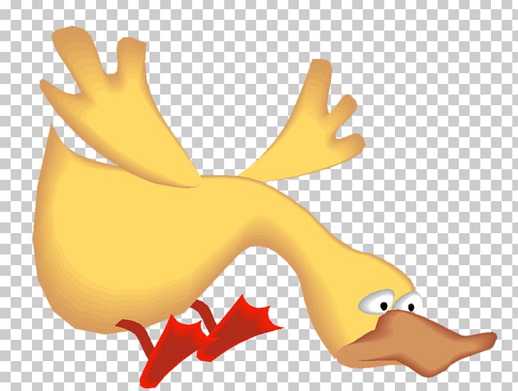 Duck GIF Psd Portable Network Graphics PNG, Clipart, Animals, Antler, Beak, Bird, Blog Free PNG Download