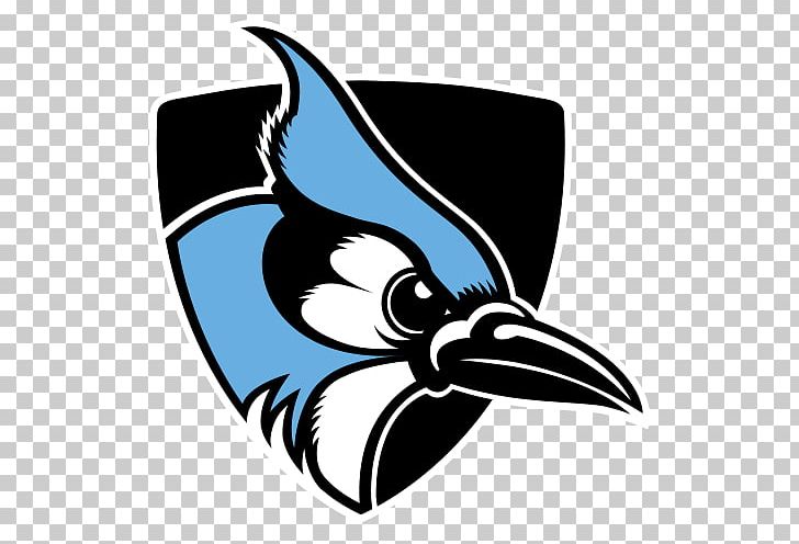Johns Hopkins Blue Jays Football Johns Hopkins University Johns Hopkins Blue Jays Men's Lacrosse Johns Hopkins Blue Jays Women's Lacrosse Washington College PNG, Clipart,  Free PNG Download