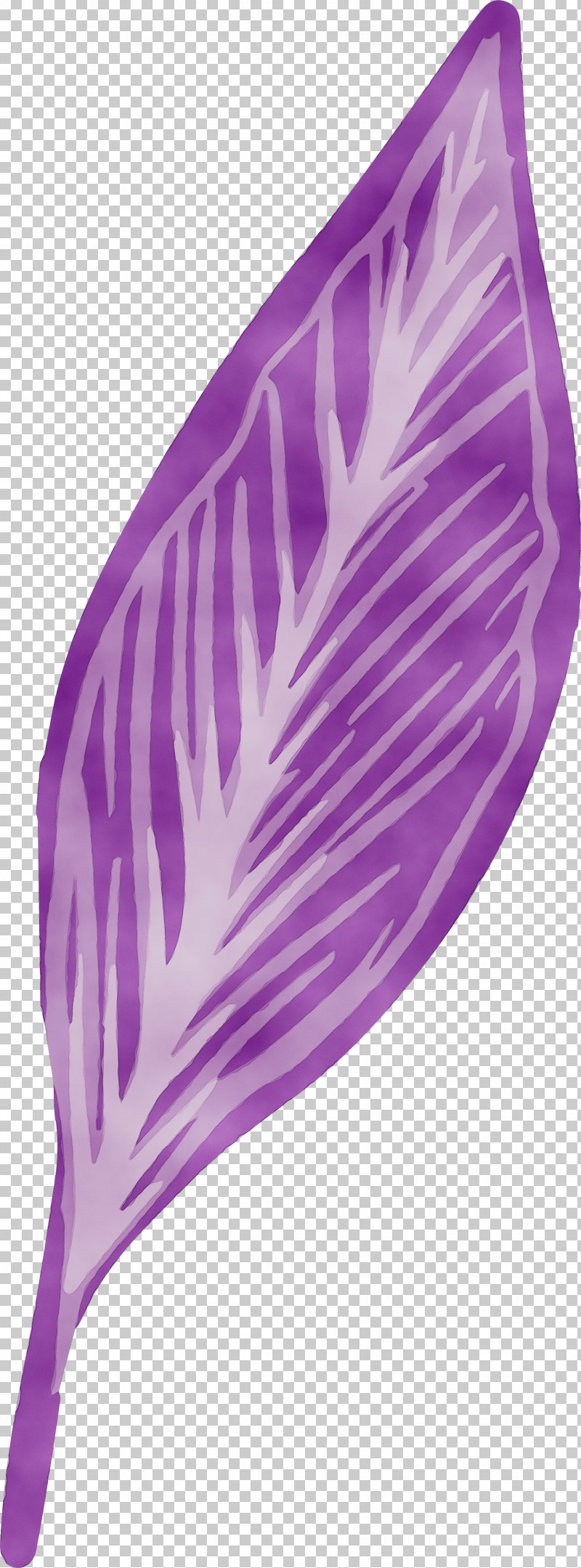 Purple PNG, Clipart, Leaf, Paint, Purple, Watercolor, Wet Ink Free PNG Download