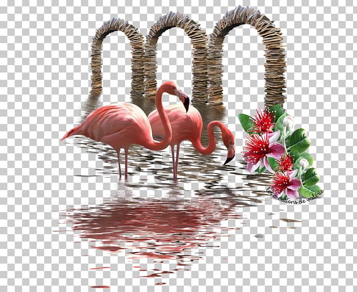 Beak PNG, Clipart, Beak, Bird, Flamingo, Love, Others Free PNG Download