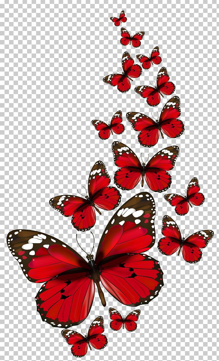 Butterfly Papillon Dog Red PNG, Clipart, Arthropod, Brush Footed Butterfly, Butterflies And Moths, Butterfly, Clip Art Free PNG Download