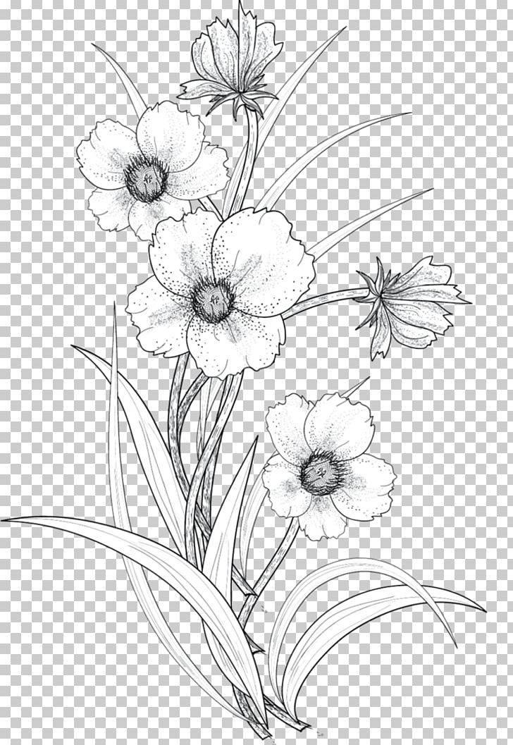 Drawing Flower Line Art PNG, Clipart, Abstract Lines, Art, Artwork, Black And White, Cut Flowers Free PNG Download