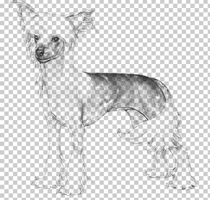 Chinese Crested Dog Dobermann Chow Chow Golden Retriever English Cocker Spaniel PNG, Clipart, American Kennel Club, Animal, Animals, Artwork, Black And White Free PNG Download