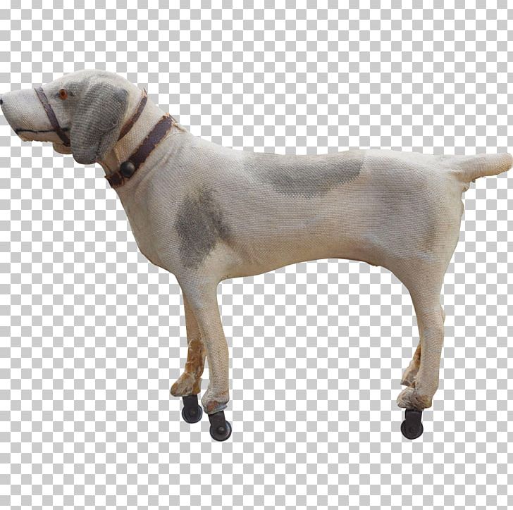 Dog Breed American Foxhound Harrier Sporting Group South Carolina PNG, Clipart, American Foxhound, Breed, Dog, Dog Breed, Dog Like Mammal Free PNG Download