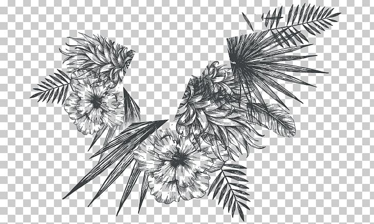 Drawing /m/02csf Pine Line Flowering Plant PNG, Clipart, Artwork, Black And White, Branch, Drawing, Flora Free PNG Download
