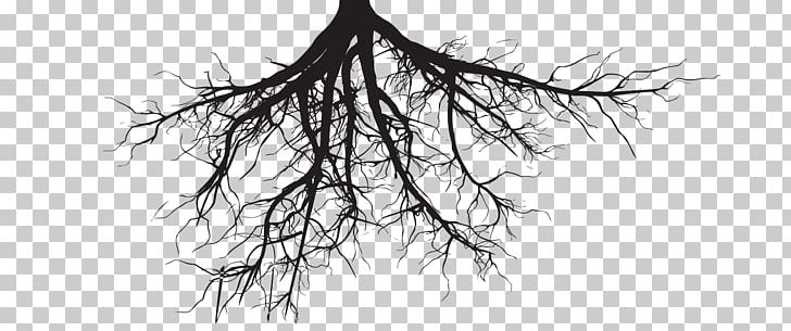 Root Silhouette Tree PNG, Clipart, Animals, Artwork, Black And White, Branch, Drawing Free PNG Download