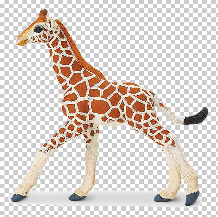 Safari Ltd Wildlife Safari Reticulated Giraffe Lion PNG, Clipart, African Wild Dog, Animal, Animal Figure, Animal Figurine, Animals Free PNG Download