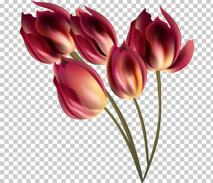 Tulip Flower Refrigerator Home Appliance Alexandria PNG, Clipart, Advertising, Clothes Dryer, Cut Flowers, Electronics, Flower Free PNG Download