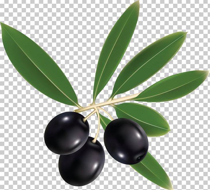 Olive Leaf Mediterranean Cuisine PNG, Clipart, Computer Icons, Drawing, Fruit, Mediterranean Cuisine, Oil Free PNG Download