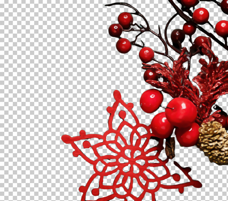 Holly PNG, Clipart, Berry, Branch, Chinese Hawthorn, Fruit, Hawthorn Free PNG Download