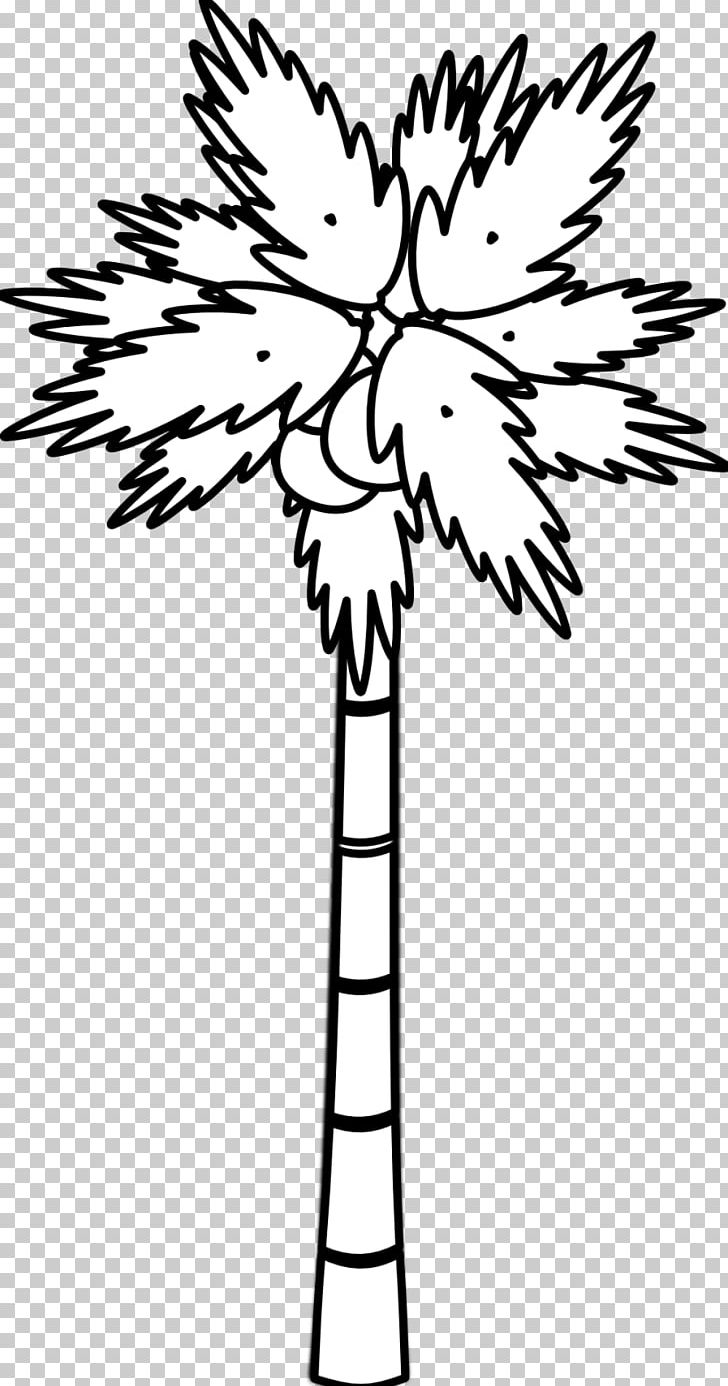 Coconut Tree Arecaceae PNG, Clipart, Arecaceae, Black, Black And White, Branch, Cartoon Free PNG Download
