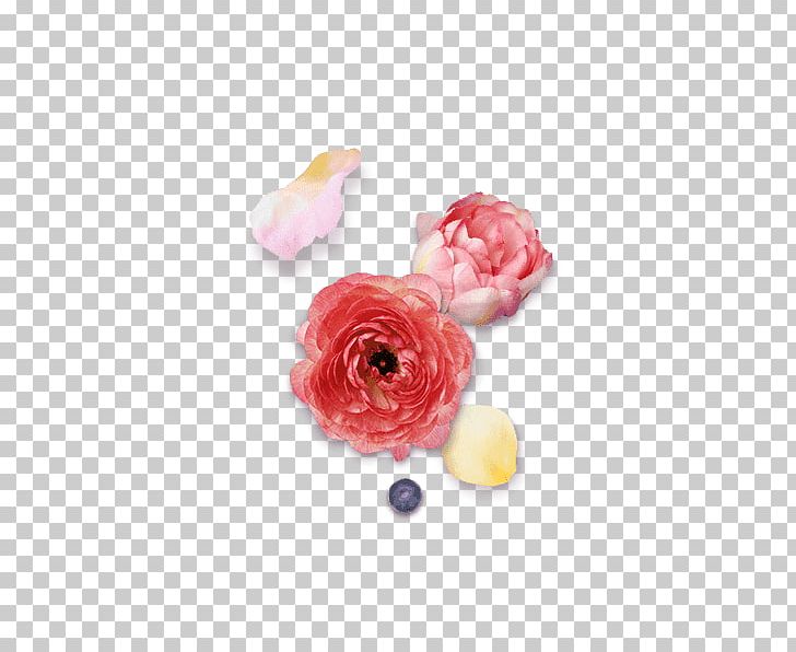 Flower Petal Gratis PNG, Clipart, Color, Computer Graphic, Decorative, Decorative Pattern, Download Free PNG Download