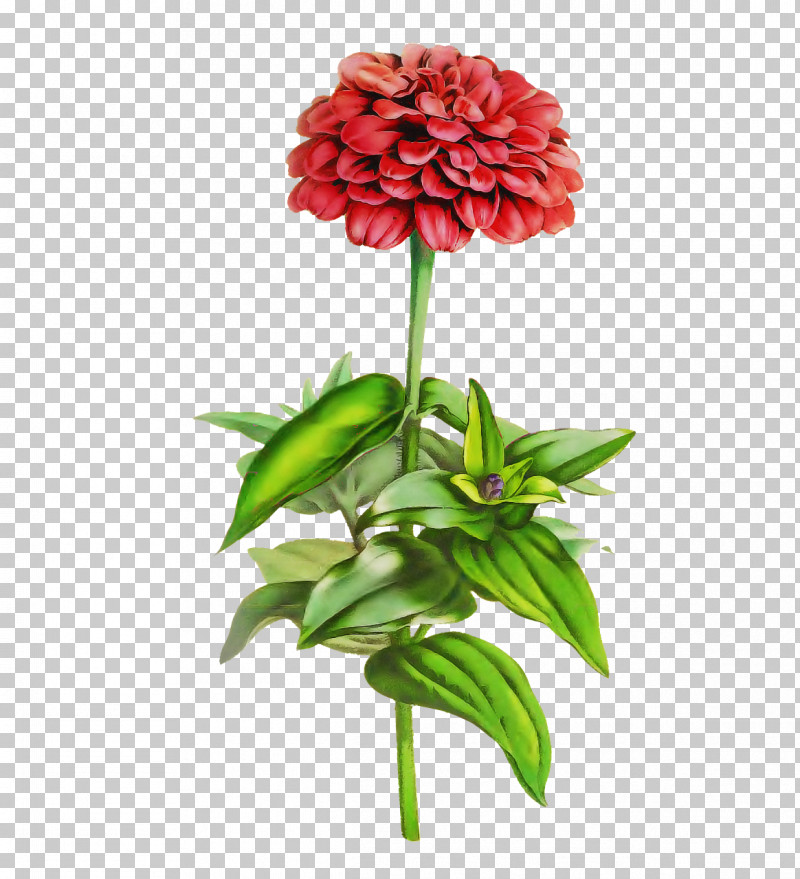 Floral Design PNG, Clipart, Artificial Flower, Carnation, Cut Flowers, Floral Design, Flower Free PNG Download