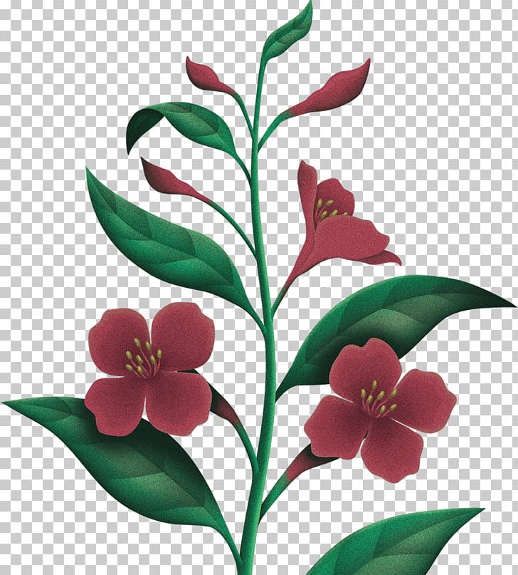 Floral Design Cut Flowers Moisturizer Gift Cleanser PNG, Clipart, Camellia Sinensis Leaf, Christmas, Cleanser, Cut Flowers, Flora Free PNG Download