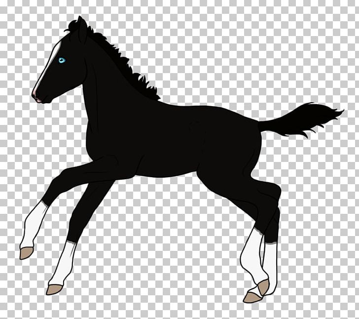 Mare Arabian Horse Foal Stallion Mustang PNG, Clipart, Arabian Horse, Bridle, Colt, English Riding, Equestrian Free PNG Download