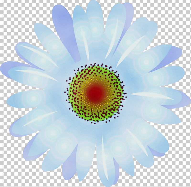 Daisy PNG, Clipart, Aster, Barberton Daisy, Camomile, Chamomile, Daisy Free PNG Download