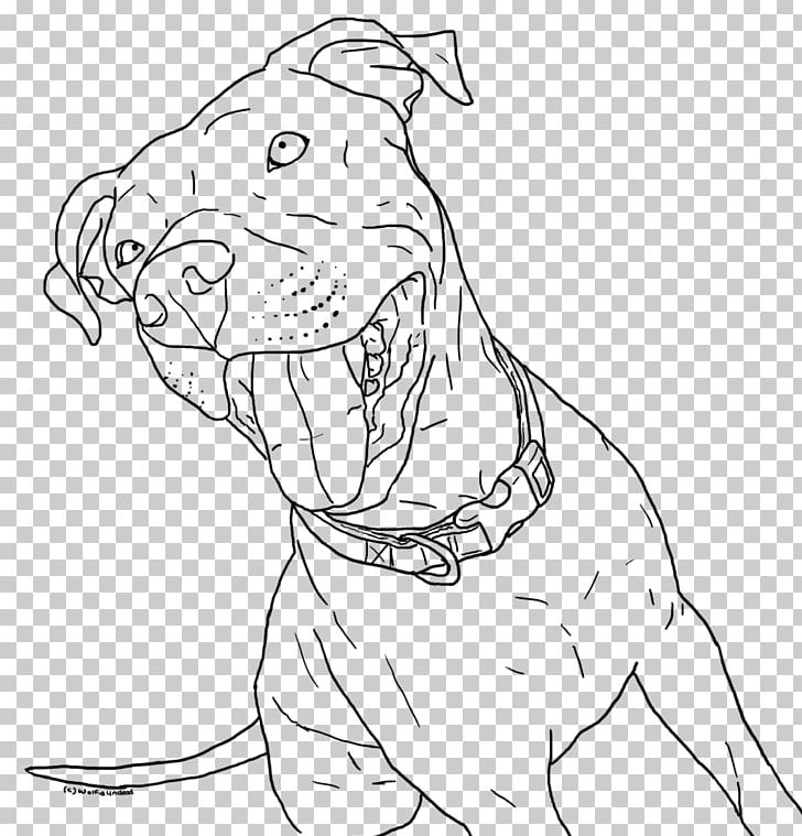 American Pit Bull Terrier American Bully Coloring Book Puppy PNG, Clipart, Adult, American Bully, American Pit Bull Terrier, Artwork, Carnivoran Free PNG Download