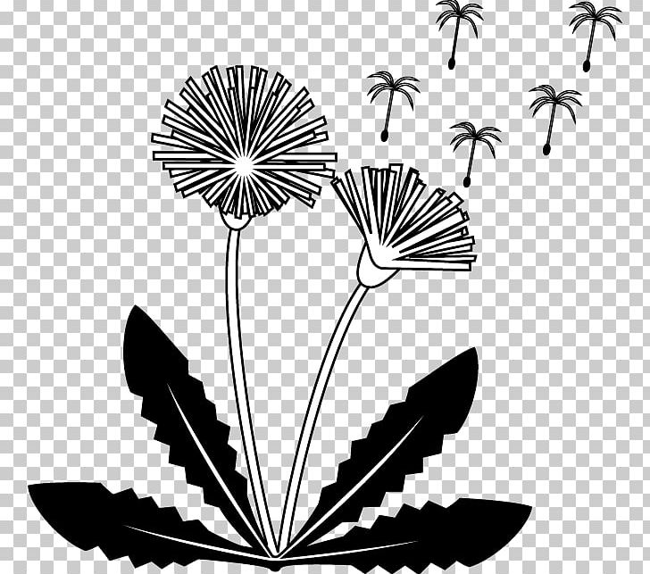 Common Dandelion Petal Flower Drawing PNG, Clipart, Black And White, Common Dandelion, Dandelion, Eye, Flora Free PNG Download