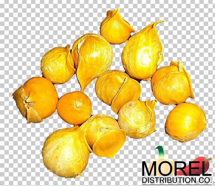 Garlic Medicinal Plants Japanese Allicin Vegetable PNG, Clipart, Allicin, Arizona, Citrus, Coffee, Commodity Free PNG Download