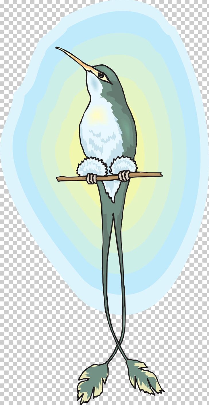 Hummingbird Beak PNG, Clipart, Animals, Beak, Bird, Branch, Cartoon Free PNG Download