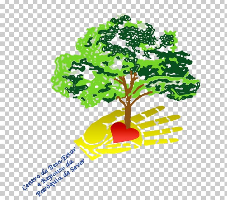 Private Social Solidarity Institution Bem Estar E Repouso Parish Sever's Disease PNG, Clipart,  Free PNG Download