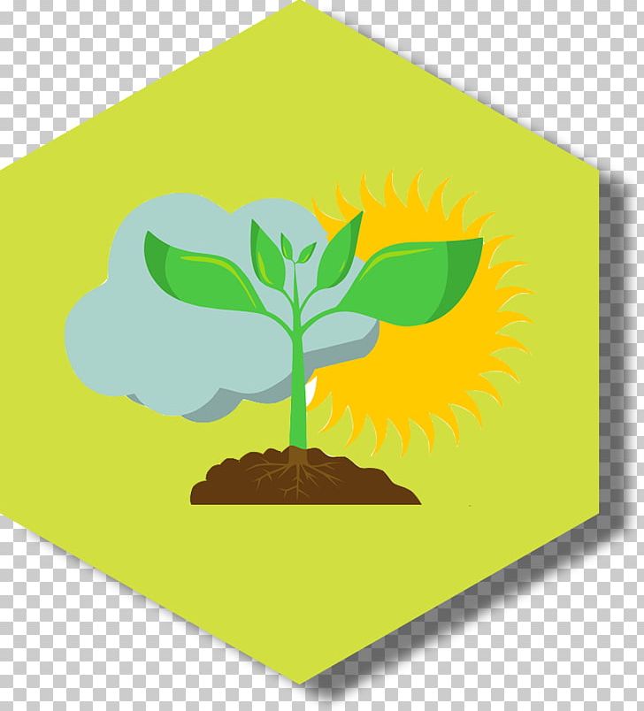 Sinsemilla Street Grow Shop Computer Icons PNG, Clipart, Cannabis Cultivation, Computer Icons, Flower, Furniture, Grass Free PNG Download