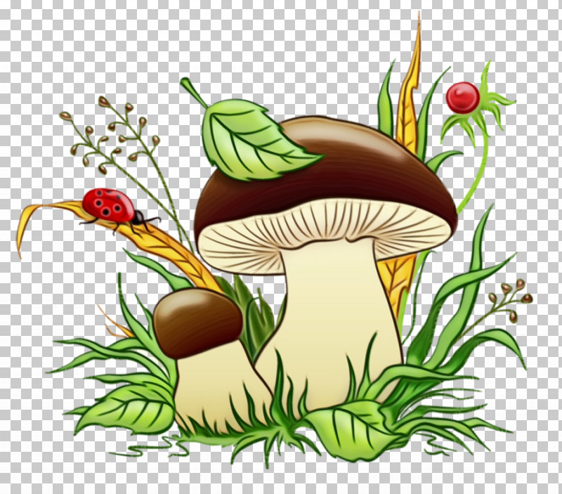 Flower Vegetable Flowerpot Mushroom PNG, Clipart, Flower, Flowerpot, Mushroom, Paint, Vegetable Free PNG Download