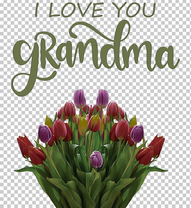Grandmothers Day Grandma PNG, Clipart, Animation, Flower, Grandma, Grandmothers Day, Greeting Free PNG Download