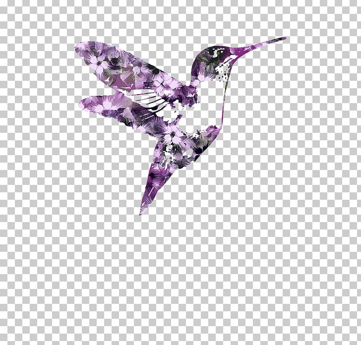 Artist Hummingbird Mixed Media Work Of Art PNG, Clipart,  Free PNG Download