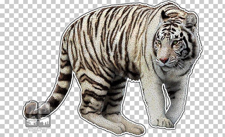 Bengal Tiger White Tiger Whiskers Wildlife PNG, Clipart, Animal, Animals, Bengal, Bengal Tiger, Big Cat Free PNG Download