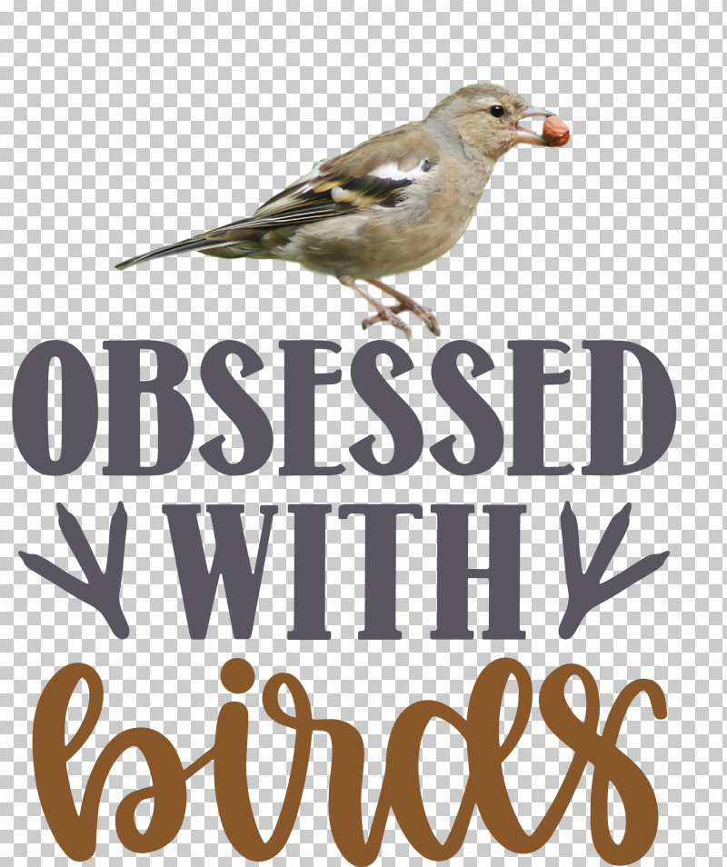 Obsessed With Birds Bird Birds Quote PNG, Clipart, Beak, Biology, Bird, Birds, Finches Free PNG Download