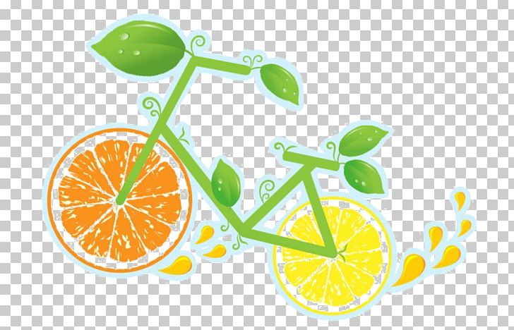 Bicycle Wheels Bicycle Wheels Lime Lemon PNG, Clipart, Ascorbic Acid, Bicycle, Bicycle Wheels, Citric Acid, Citrus Free PNG Download