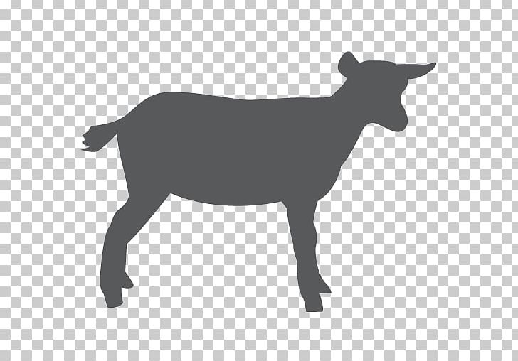 Sheep Nigerian Dwarf Goat Cattle Pygmy Goat Milk PNG, Clipart,  Free PNG Download