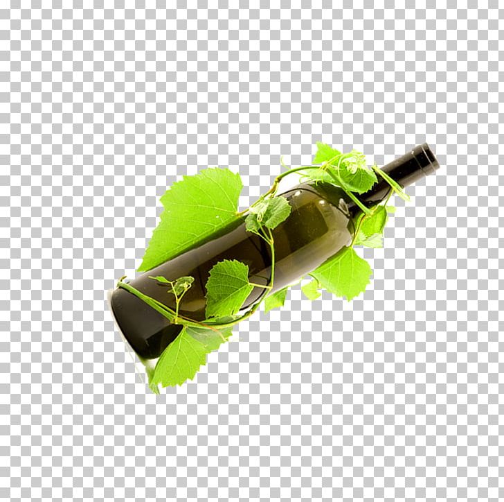 Wine Leaf Green PNG, Clipart, Alcohol Bottle, Bottle, Bottles, Champagne Bottle, Grass Free PNG Download