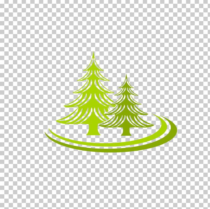 Tree Logo Spruce Fir PNG, Clipart, Christmas Decoration, Christmas Ornament, Christmas Tree, Conifer, Conifers Free PNG Download