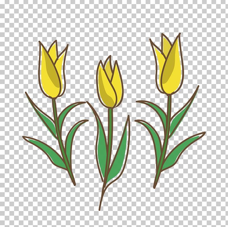 Tulip Yellow White Red PNG, Clipart, Color, Cut Flowers, Flower, Flowering Plant, Flowers Free PNG Download
