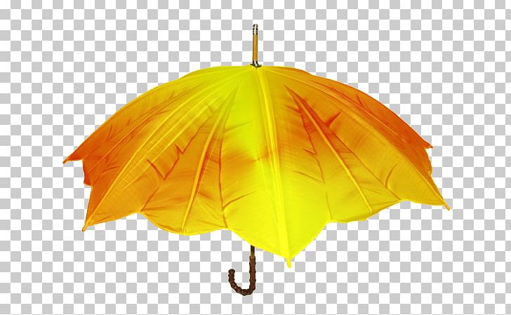 Umbrellas & Parasols Design Antuca Clothing PNG, Clipart, Antuca, Art, Clothing, Creativity, Designer Free PNG Download