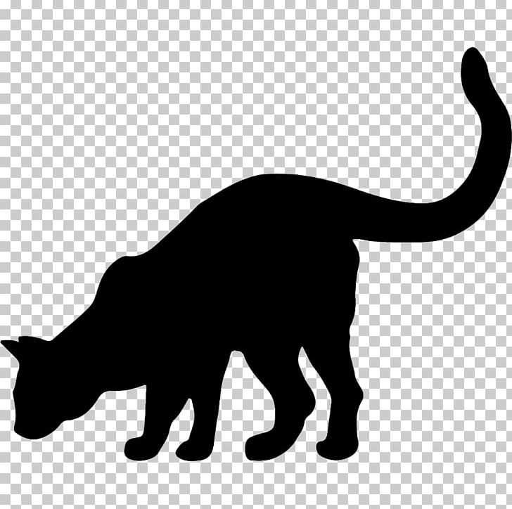 Whiskers Black Cat Wildcat Domestic Short-haired Cat PNG, Clipart, Animals, Black, Carnivoran, Cat Like Mammal, Dog Like Mammal Free PNG Download