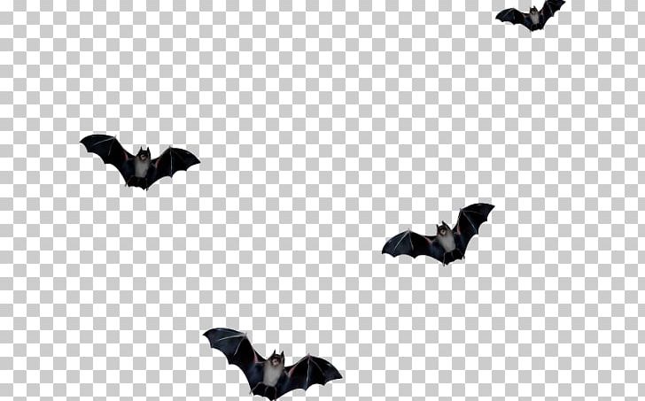 Raster Graphics Editor Microbat PNG, Clipart, Animaatio, Bat, Bat Halloween, Black, Black And White Free PNG Download