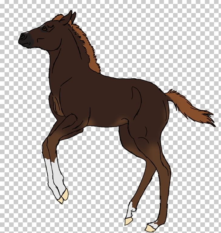 Foal Mustang Stallion Colt Mare PNG, Clipart, Animal Figure, Bridle, Colt, Foal, Halter Free PNG Download