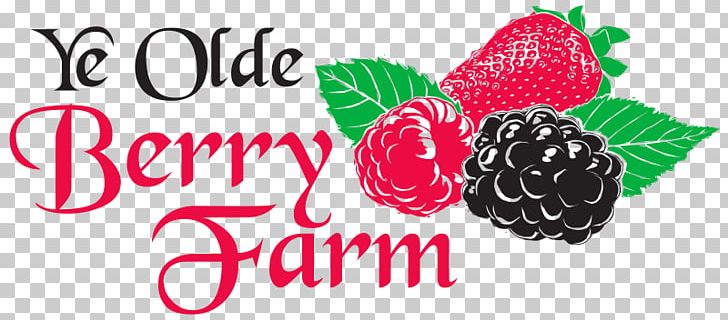 Strawberry Olde Berry Farm_采莓 Boysenberry Raspberry PNG, Clipart,  Free PNG Download