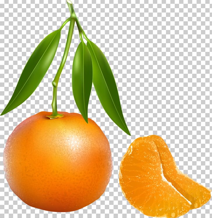 Tangerine Mandarin Orange PNG, Clipart, Art, Bitter Orange, Chenpi, Citrus, Clementine Free PNG Download