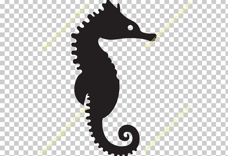 New Holland Seahorse Silhouette PNG, Clipart, Animals, Black And White, Drawing, Fish, Line Art Free PNG Download