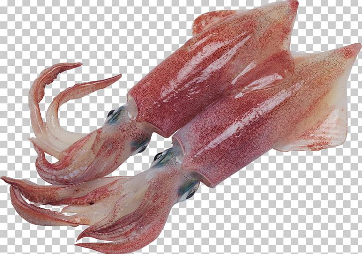 Squid As Food Fish Oil Acid Gras Omega-3 PNG, Clipart, Animals, Animal Source Foods, Bayonne Ham, Cephalopod, Docosahexaenoic Acid Free PNG Download