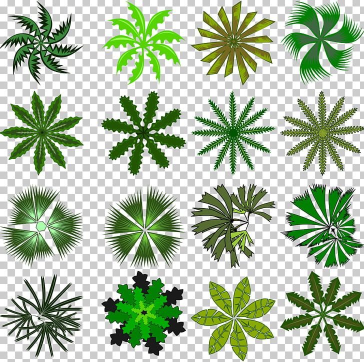 Arecaceae Tree PNG, Clipart, Arecaceae, Arecales, Cannabis, Computer Icons, Date Palm Free PNG Download