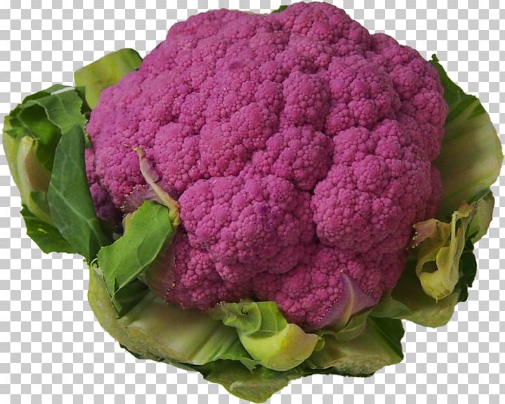 Cauliflower Cruciferous Vegetables Cabbage PNG, Clipart, Cabbage, Cauliflower, Cruciferous Vegetables, Flower, Leaf Vegetable Free PNG Download