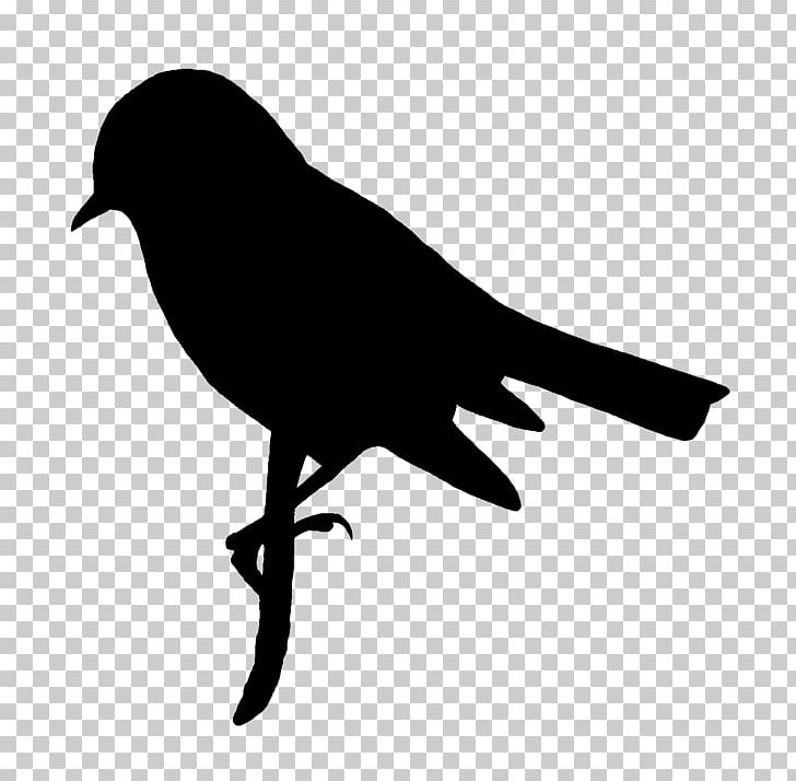 Bird Silhouette PNG, Clipart, American Crow, Animals, Art, Beak, Bird Free PNG Download