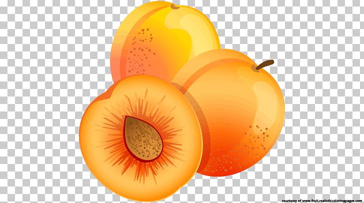 Apricot Fruit Food PNG, Clipart, Apricot, Apricot Kernel, Diet Food, Download, Food Free PNG Download